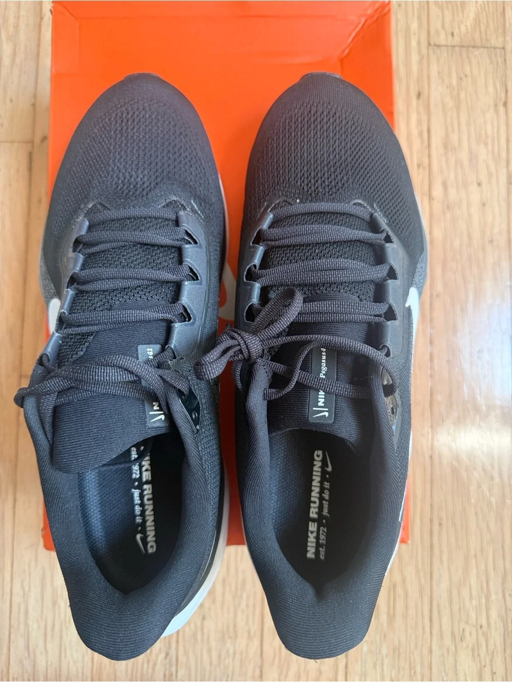 Nike Men’s Pegasus 41 Running Shoes